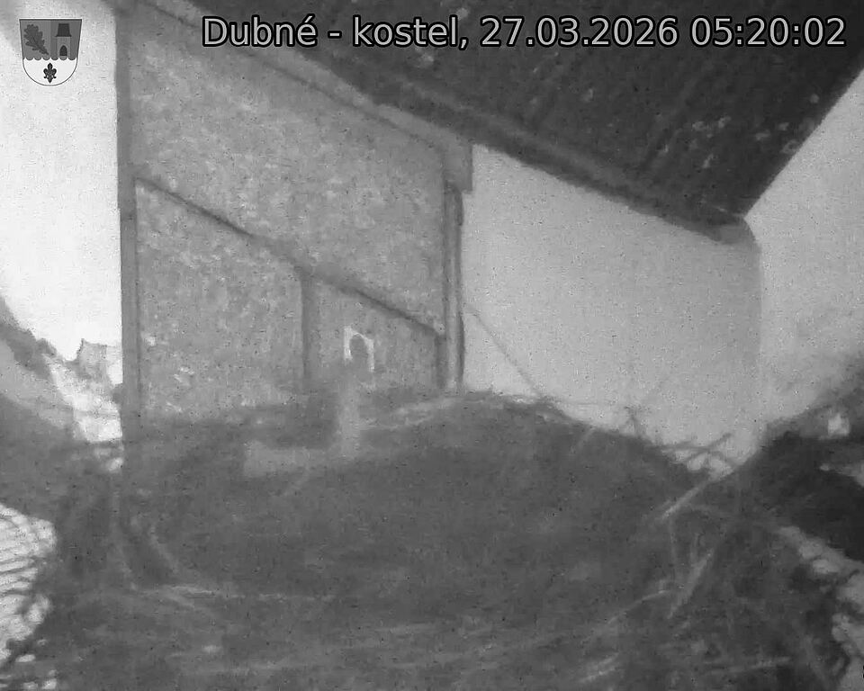 Capi_Dubne_20260327_052002.jpg (1350&nbsp;x&nbsp;1080)