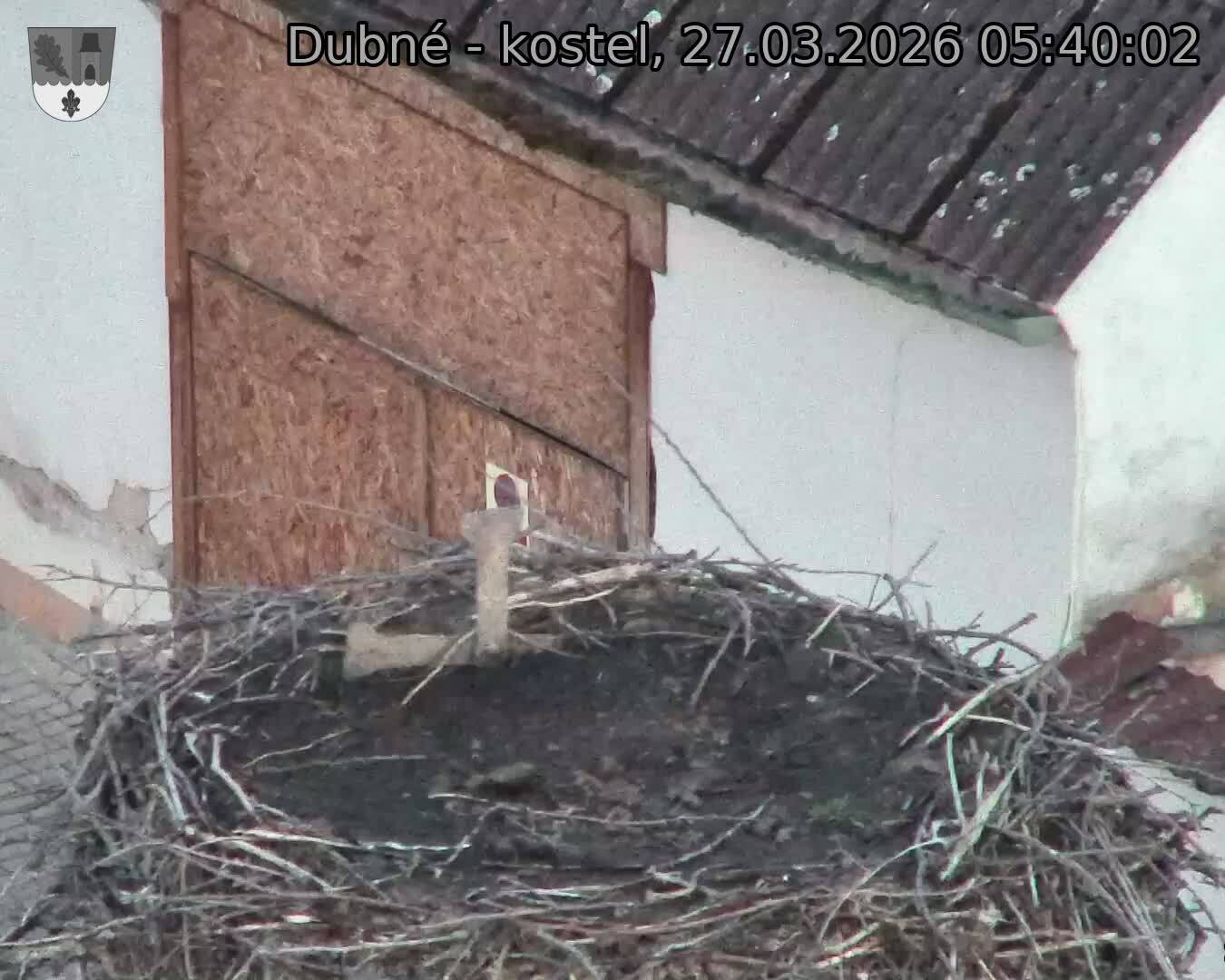 Capi_Dubne_20260327_054002.jpg (1350&nbsp;x&nbsp;1080)