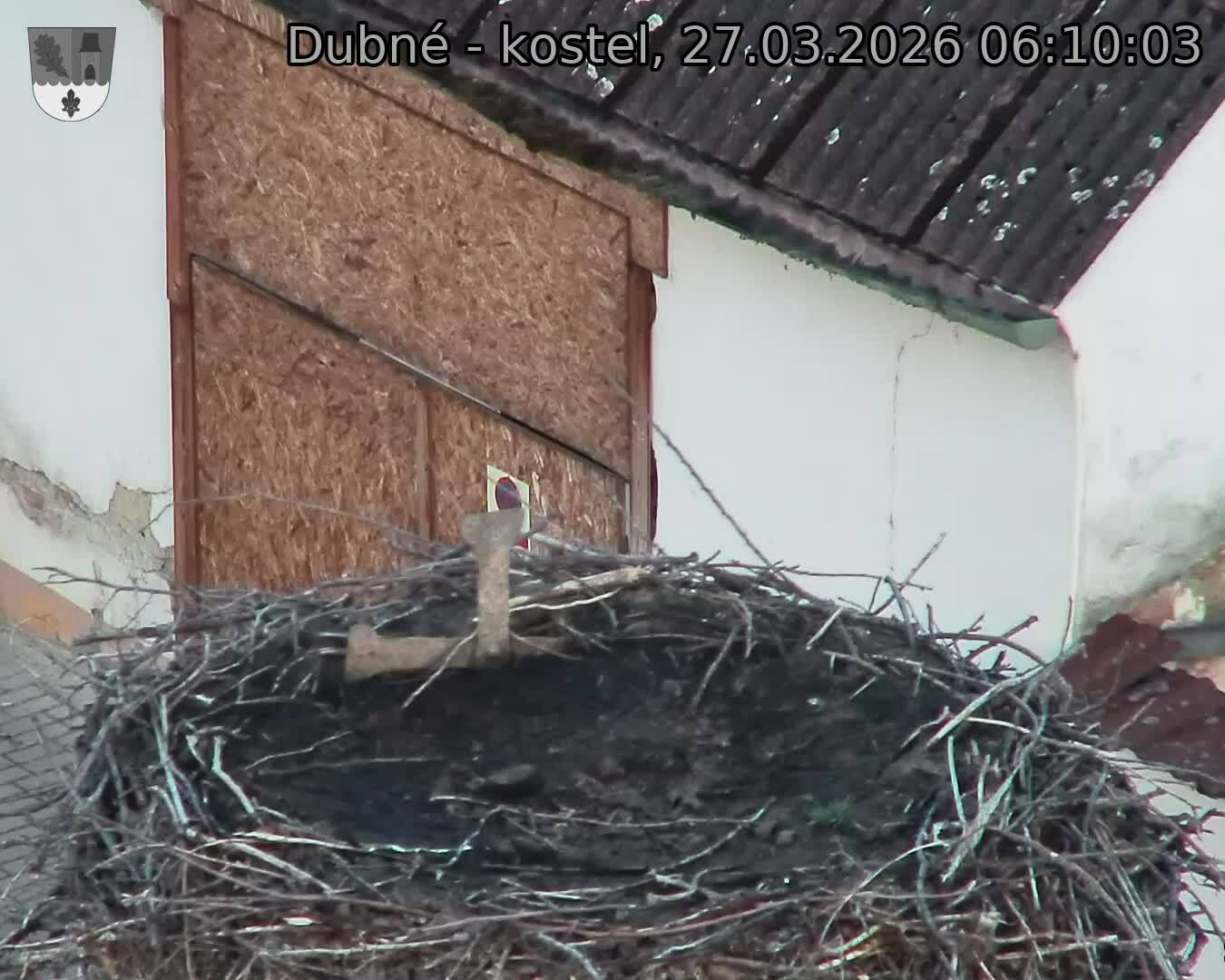 Capi_Dubne_20260327_061003.jpg (1350&nbsp;x&nbsp;1080)