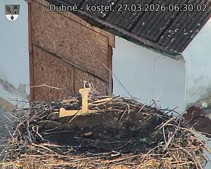 Capi_Dubne_20260327_063002.jpg (1350&nbsp;x&nbsp;1080)