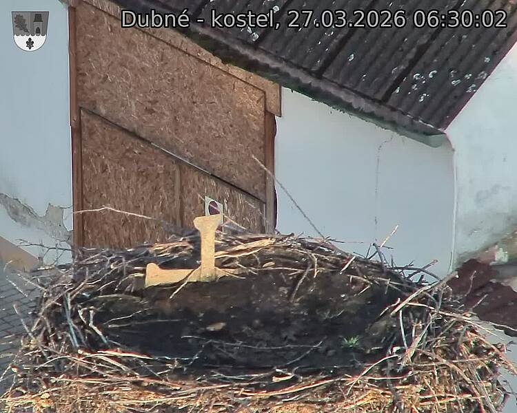 Capi_Dubne_20260327_063002.jpg (1350&nbsp;x&nbsp;1080)