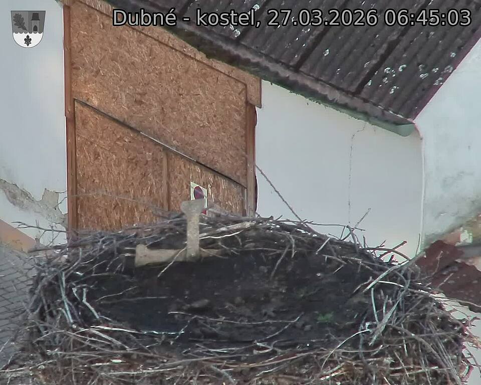 Capi_Dubne_20260327_064503.jpg (1350&nbsp;x&nbsp;1080)