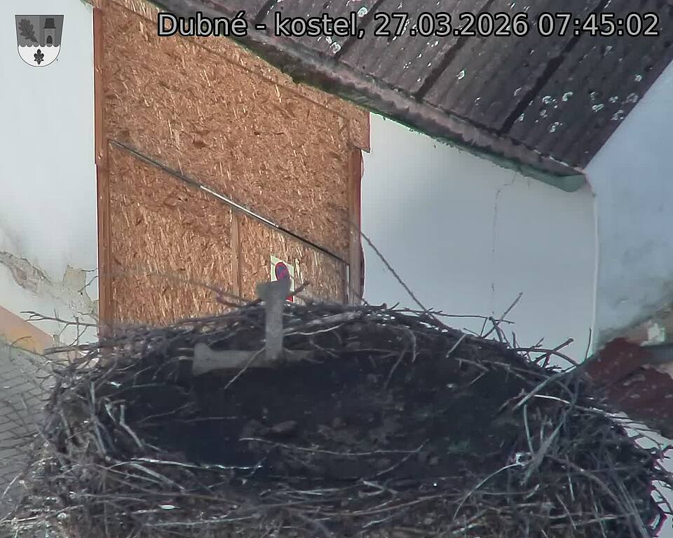 Capi_Dubne_20260327_074502.jpg (1350&nbsp;x&nbsp;1080)
