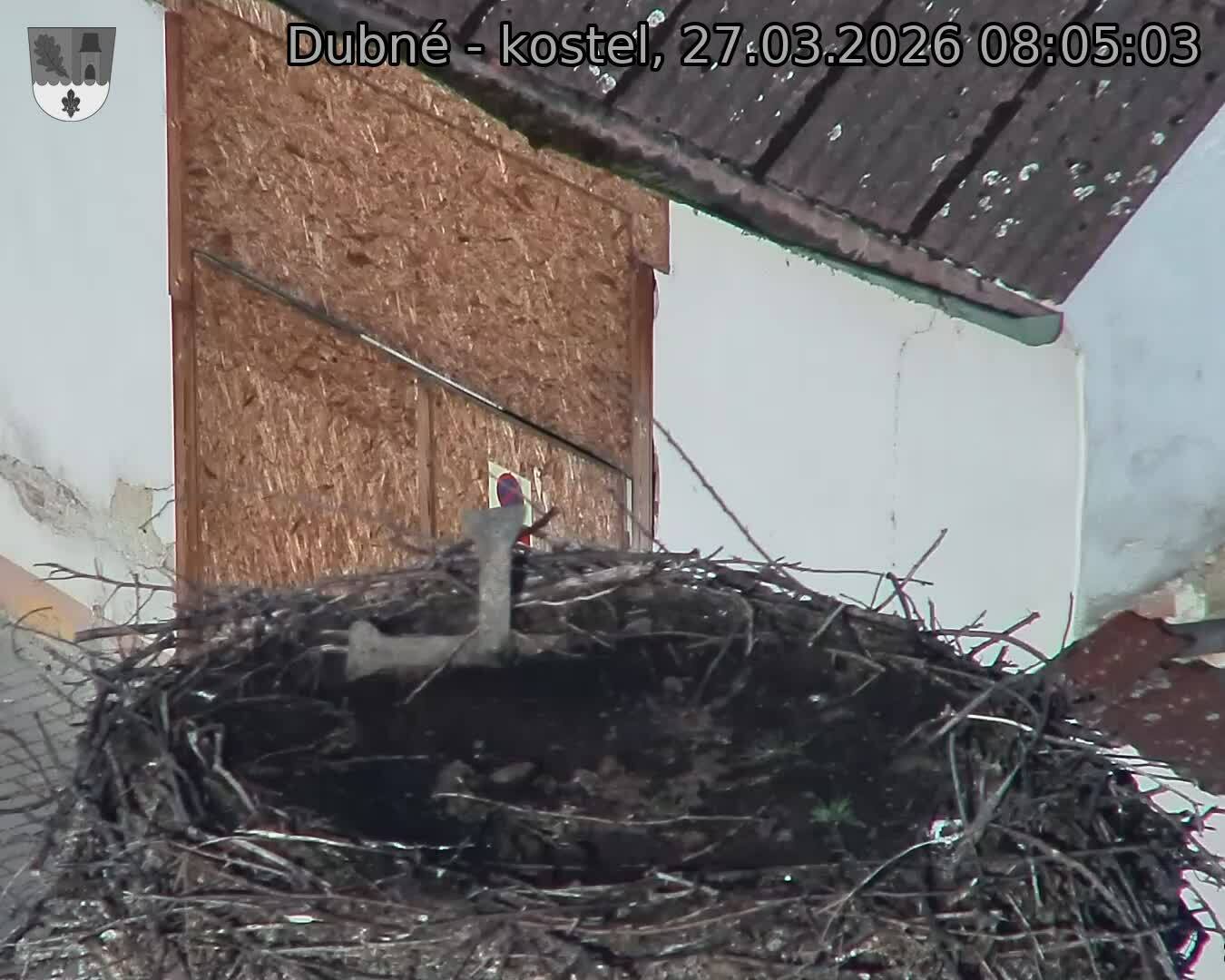 Capi_Dubne_20260327_080503.jpg (1350&nbsp;x&nbsp;1080)