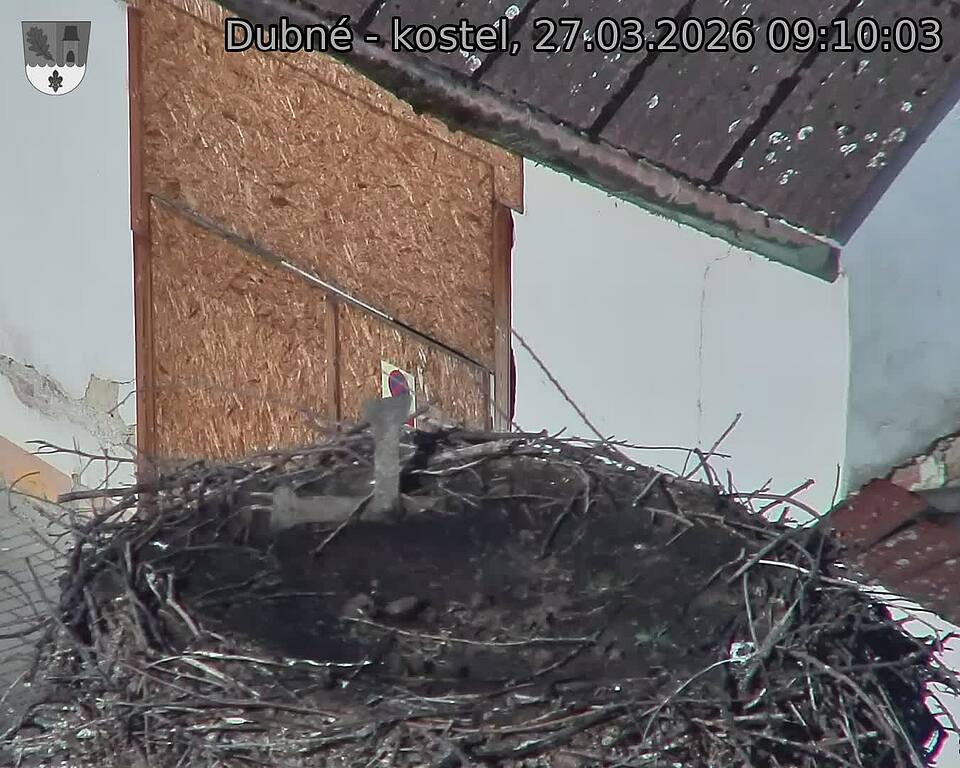 Capi_Dubne_20260327_091003.jpg (1350&nbsp;x&nbsp;1080)