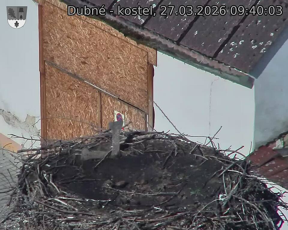 Capi_Dubne_20260327_094003.jpg (1350&nbsp;x&nbsp;1080)