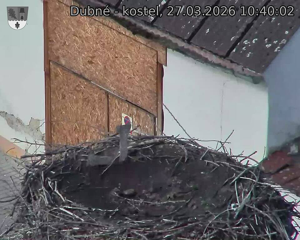 Capi_Dubne_20260327_104002.jpg (1350&nbsp;x&nbsp;1080)