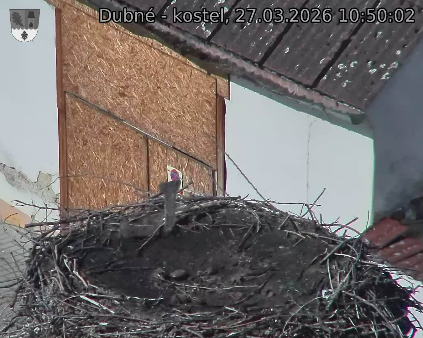 Capi_Dubne_20260327_105002.jpg (1350&nbsp;x&nbsp;1080)