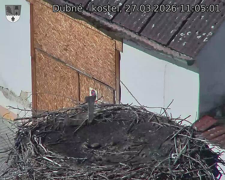 Capi_Dubne_20260327_110501.jpg (1350&nbsp;x&nbsp;1080)