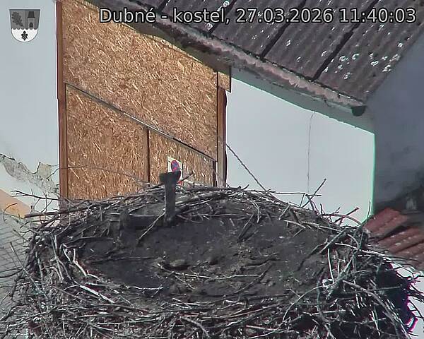 Capi_Dubne_20260327_114003.jpg (1350&nbsp;x&nbsp;1080)