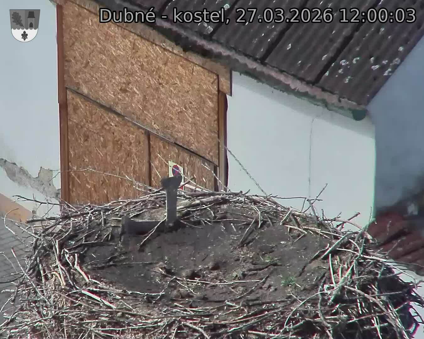 Capi_Dubne_20260327_120003.jpg (1350&nbsp;x&nbsp;1080)
