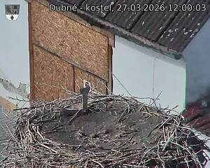 Capi_Dubne_20260327_120003.jpg (1350&nbsp;x&nbsp;1080)