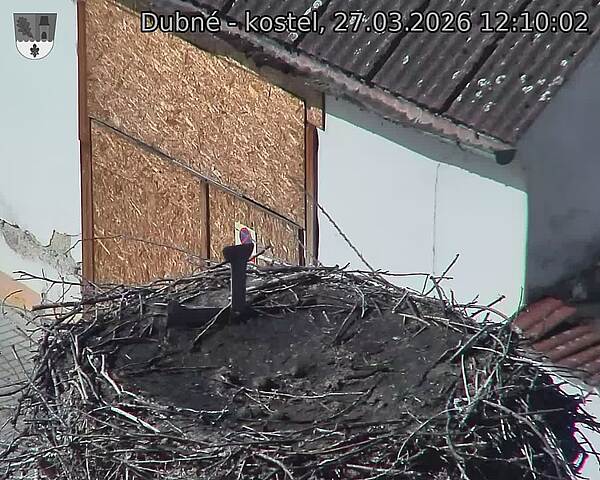 Capi_Dubne_20260327_121002.jpg (1350&nbsp;x&nbsp;1080)