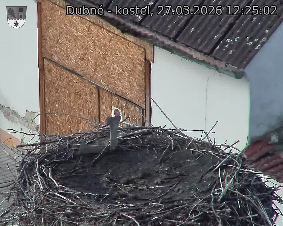 Capi_Dubne_20260327_122502.jpg (1350&nbsp;x&nbsp;1080)