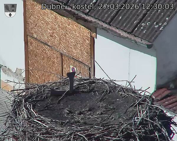Capi_Dubne_20260327_123003.jpg (1350&nbsp;x&nbsp;1080)