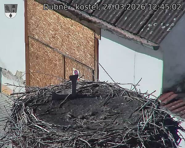 Capi_Dubne_20260327_124502.jpg (1350&nbsp;x&nbsp;1080)