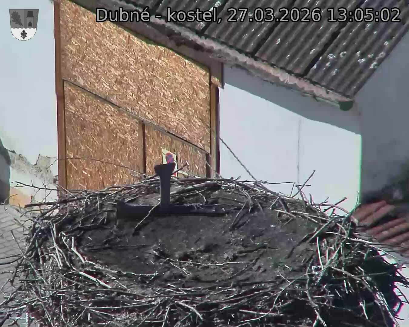 Capi_Dubne_20260327_130502.jpg (1350&nbsp;x&nbsp;1080)