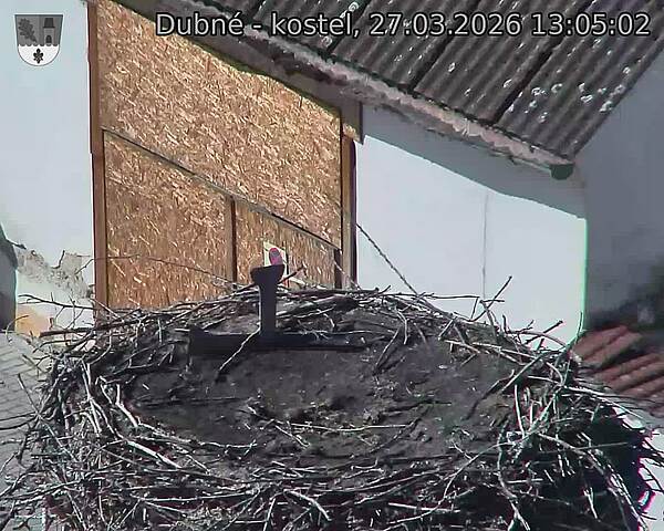 Capi_Dubne_20260327_130502.jpg (1350&nbsp;x&nbsp;1080)