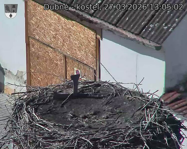 Capi_Dubne_20260327_130502.jpg (1350&nbsp;x&nbsp;1080)