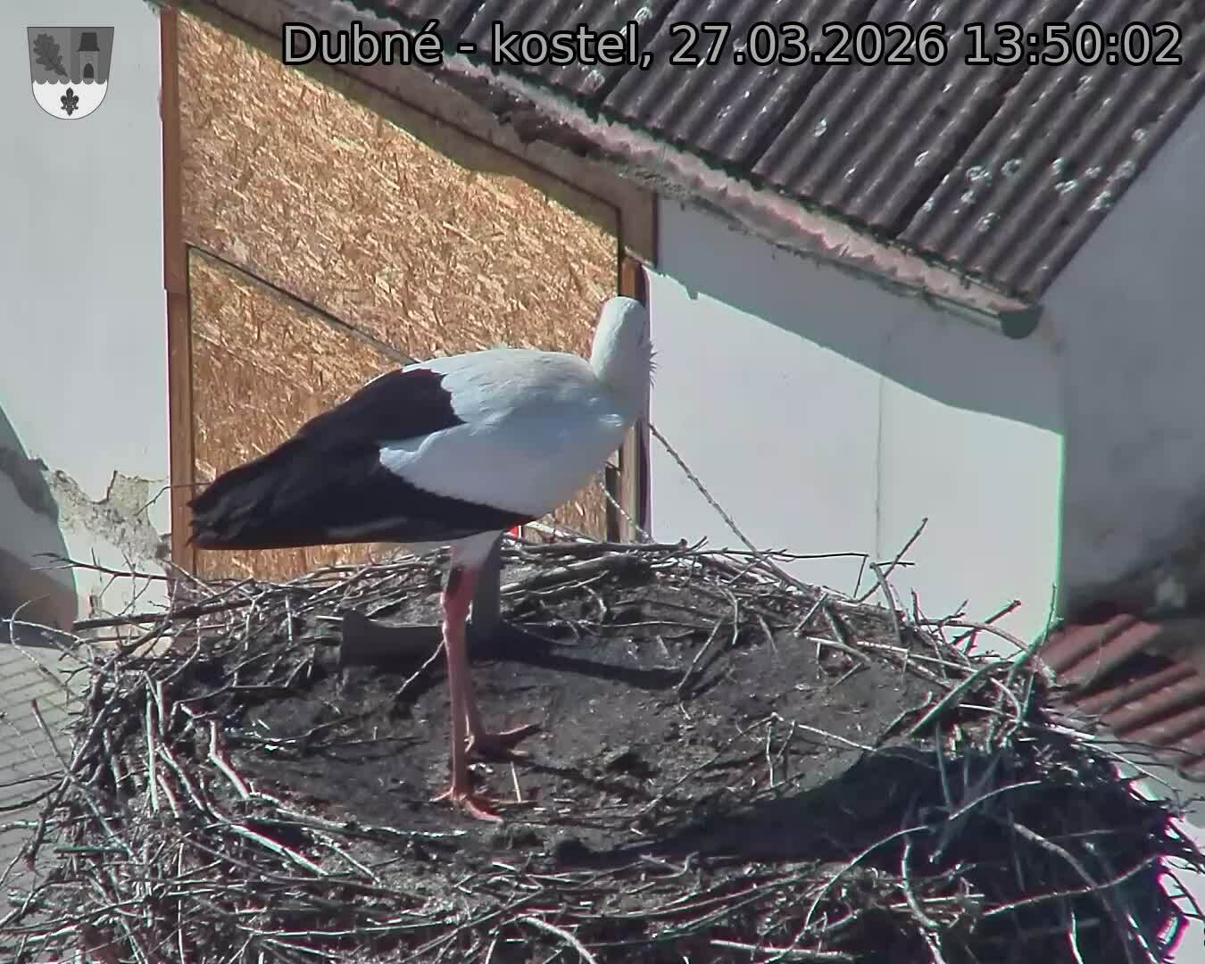 Capi_Dubne_20260327_135002.jpg (1350&nbsp;x&nbsp;1080)