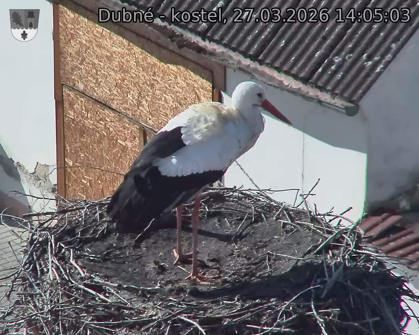 Capi_Dubne_20260327_140503.jpg (1350&nbsp;x&nbsp;1080)