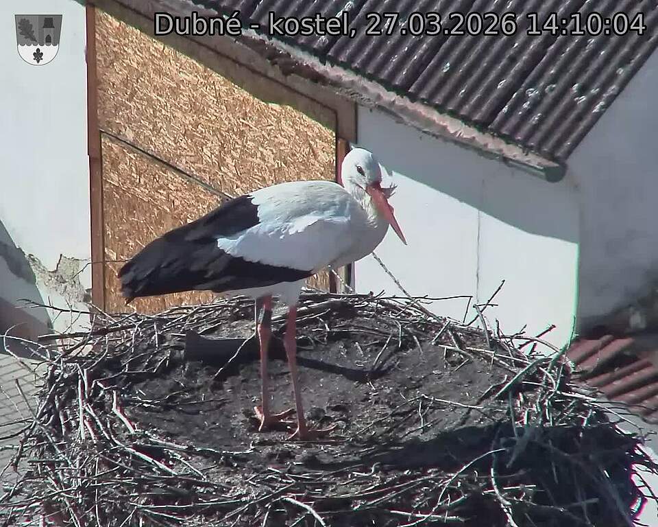 Capi_Dubne_20260327_141004.jpg (1350&nbsp;x&nbsp;1080)