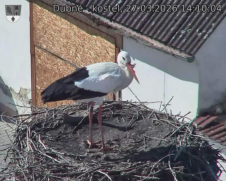 Capi_Dubne_20260327_141004.jpg (1350&nbsp;x&nbsp;1080)