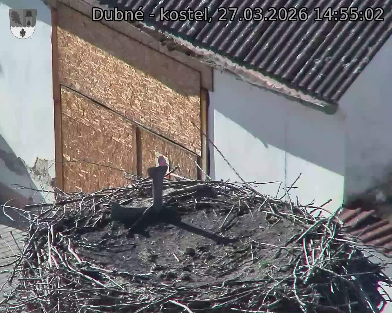 Capi_Dubne_20260327_145503.jpg (1350&nbsp;x&nbsp;1080)