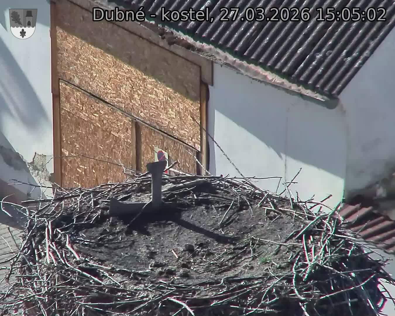 Capi_Dubne_20260327_150502.jpg (1350&nbsp;x&nbsp;1080)