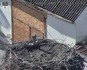 Capi_Dubne_20260327_150502.jpg (1350&nbsp;x&nbsp;1080)