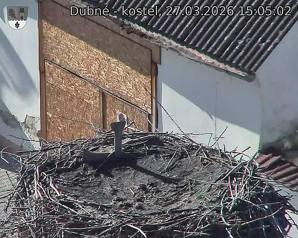 Capi_Dubne_20260327_150502.jpg (1350&nbsp;x&nbsp;1080)