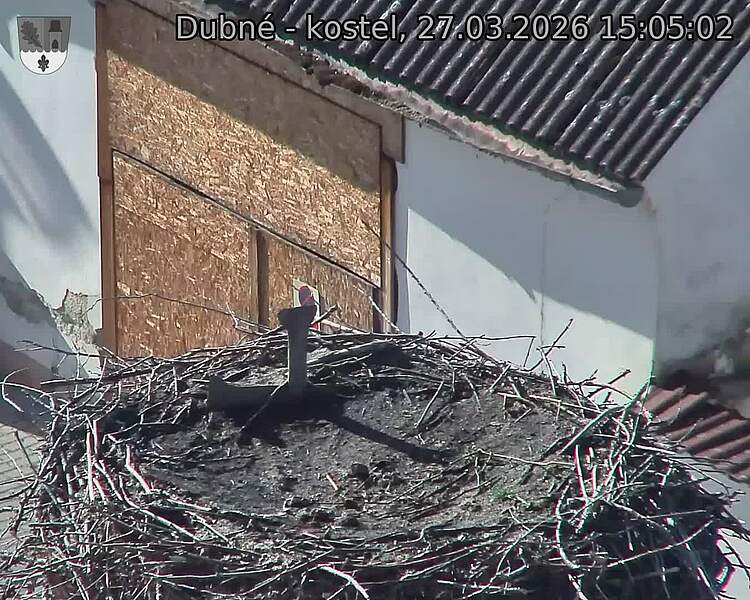 Capi_Dubne_20260327_150502.jpg (1350&nbsp;x&nbsp;1080)