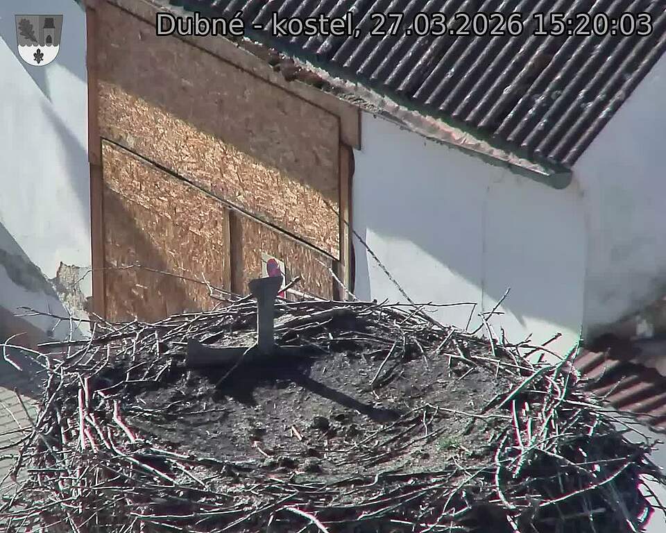 Capi_Dubne_20260327_152003.jpg (1350&nbsp;x&nbsp;1080)