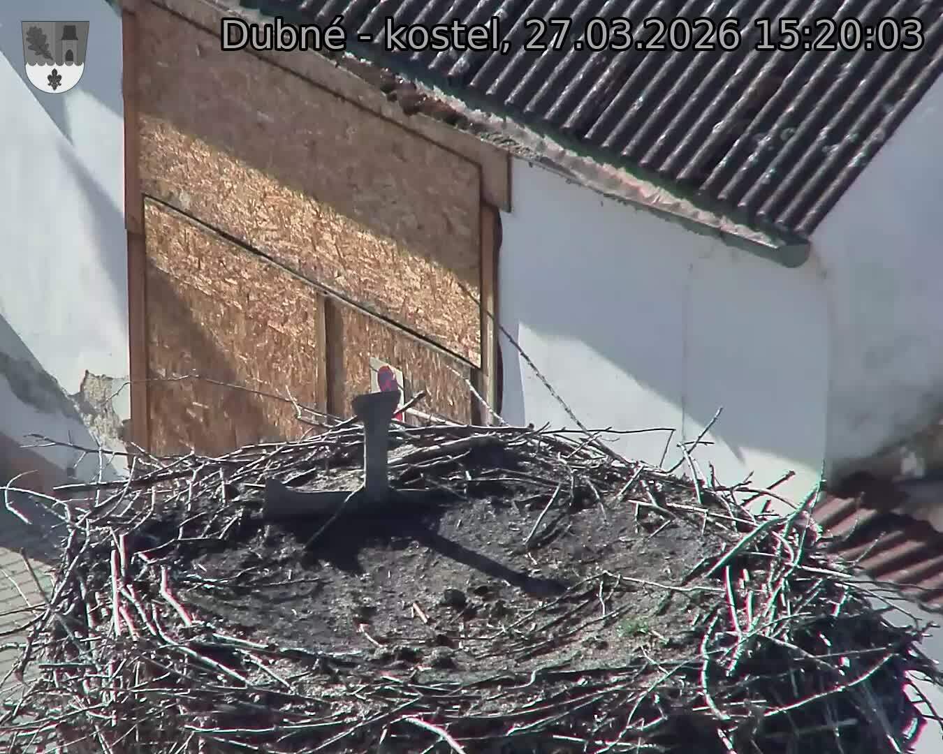 Capi_Dubne_20260327_152003.jpg (1350&nbsp;x&nbsp;1080)