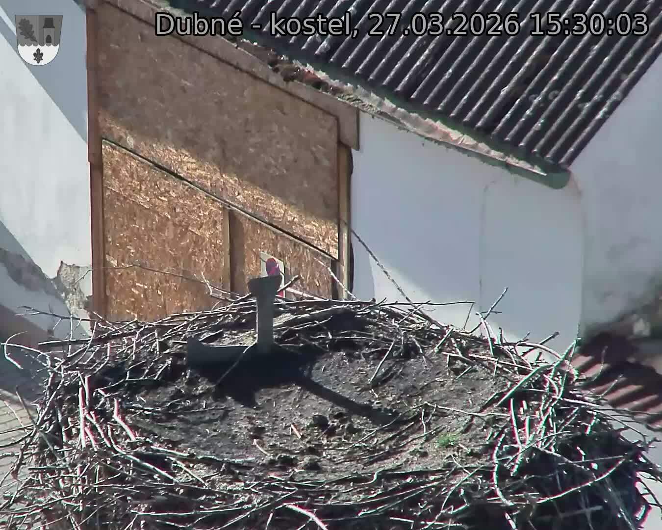 Capi_Dubne_20260327_153003.jpg (1350&nbsp;x&nbsp;1080)