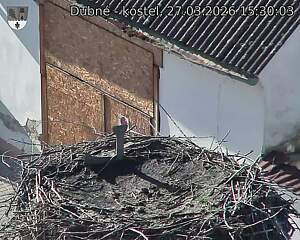 Capi_Dubne_20260327_153003.jpg (1350&nbsp;x&nbsp;1080)