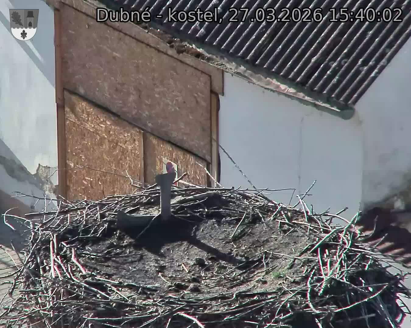 Capi_Dubne_20260327_154002.jpg (1350&nbsp;x&nbsp;1080)