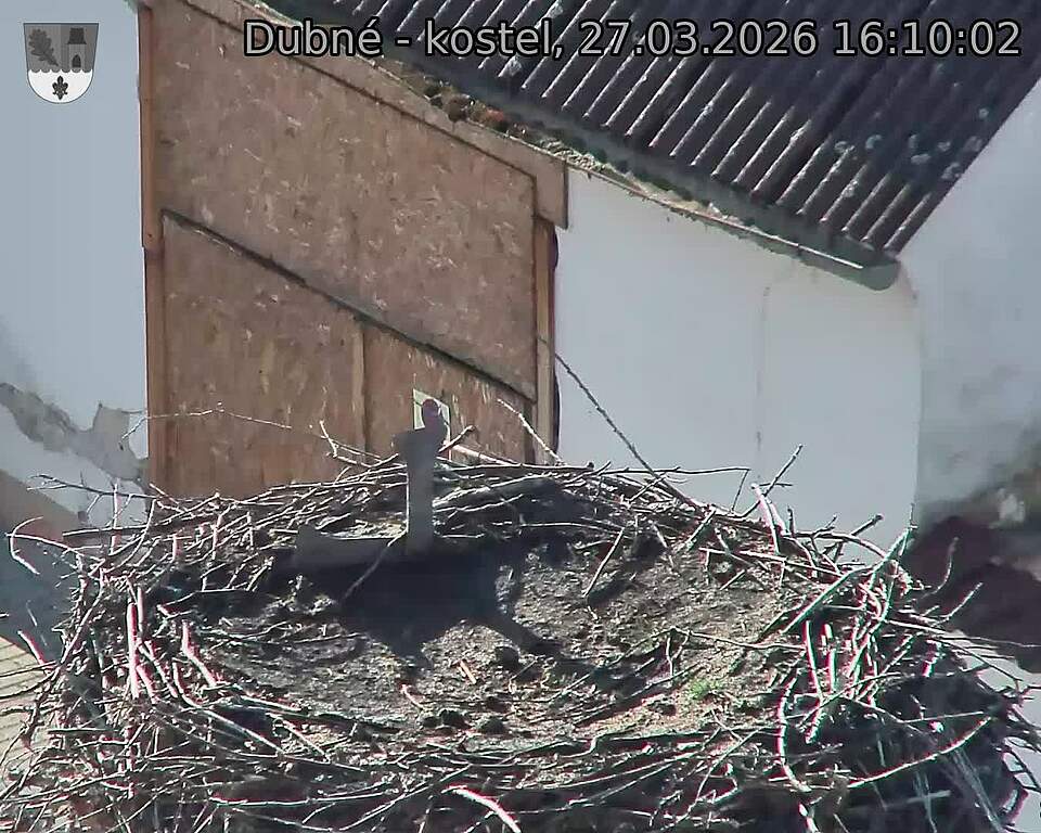 Capi_Dubne_20260327_161002.jpg (1350&nbsp;x&nbsp;1080)