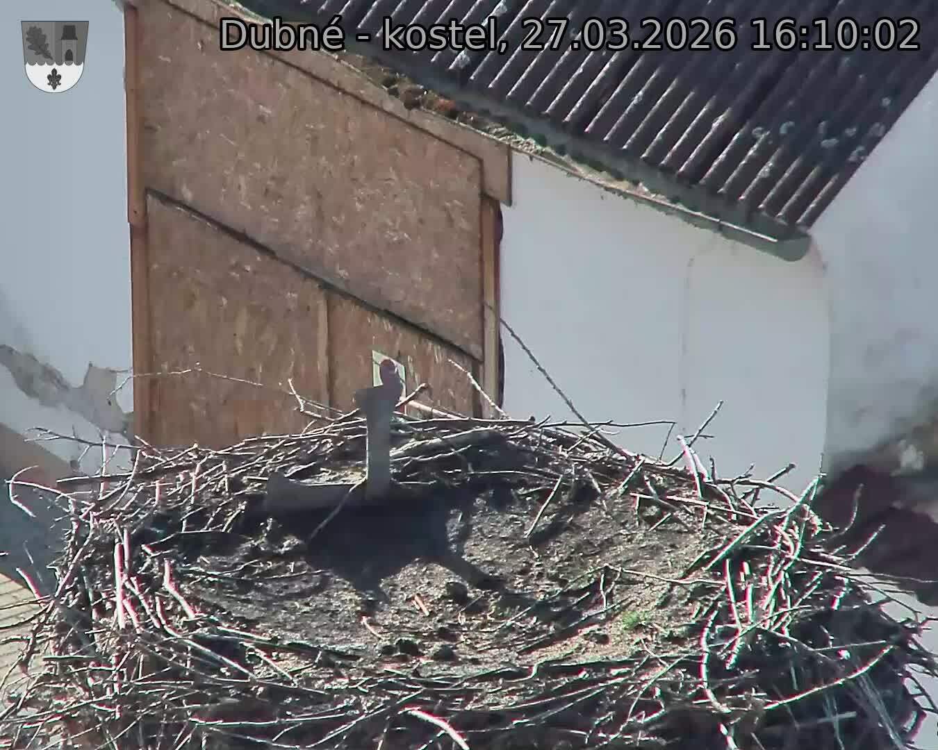 Capi_Dubne_20260327_161002.jpg (1350&nbsp;x&nbsp;1080)