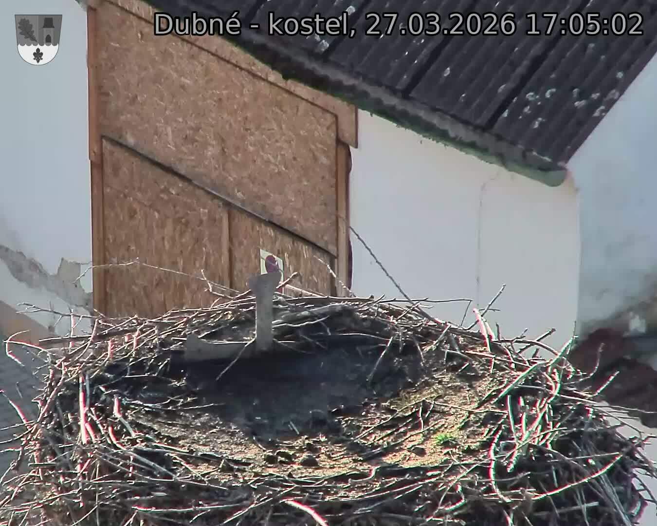 Capi_Dubne_20260327_170502.jpg (1350&nbsp;x&nbsp;1080)