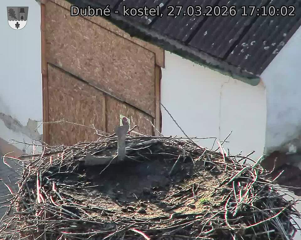 Capi_Dubne_20260327_171002.jpg (1350&nbsp;x&nbsp;1080)