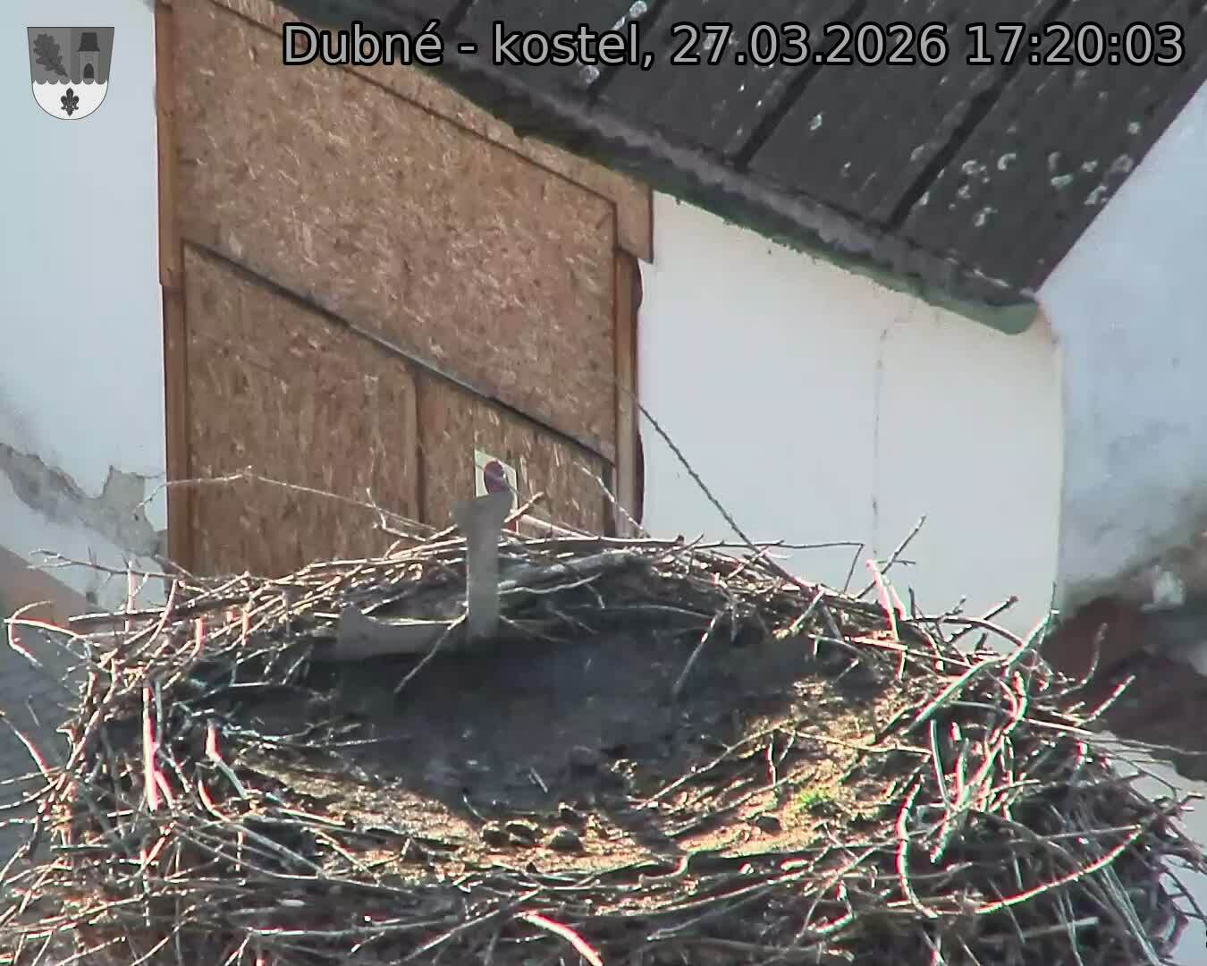 Capi_Dubne_20260327_172003.jpg (1350&nbsp;x&nbsp;1080)