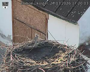 Capi_Dubne_20260327_172003.jpg (1350&nbsp;x&nbsp;1080)