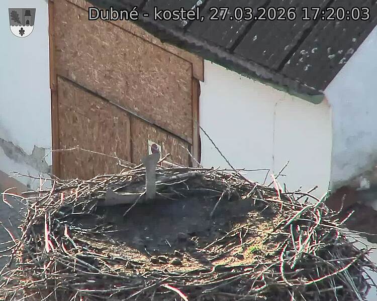 Capi_Dubne_20260327_172003.jpg (1350&nbsp;x&nbsp;1080)