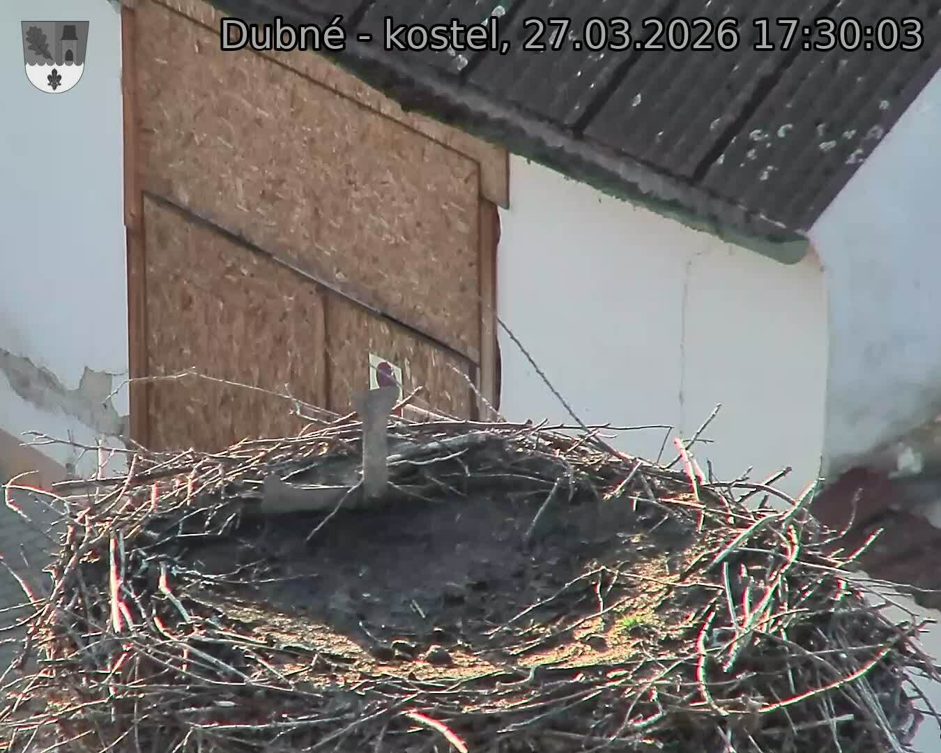 Capi_Dubne_20260327_173003.jpg (1350&nbsp;x&nbsp;1080)