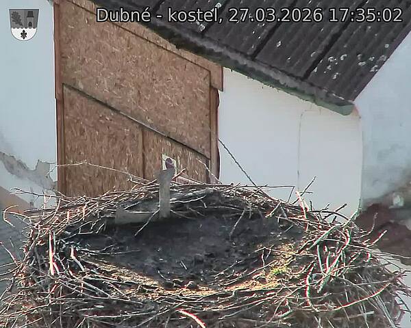Capi_Dubne_20260327_173502.jpg (1350&nbsp;x&nbsp;1080)