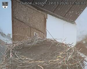 Capi_Dubne_20260327_175002.jpg (1350&nbsp;x&nbsp;1080)