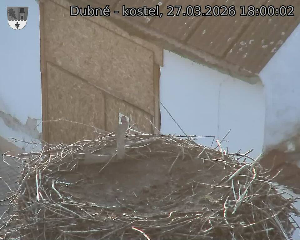 Capi_Dubne_20260327_180002.jpg (1350&nbsp;x&nbsp;1080)