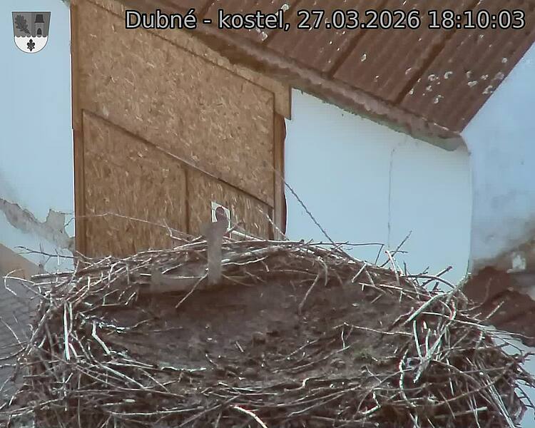 Capi_Dubne_20260327_181003.jpg (1350&nbsp;x&nbsp;1080)