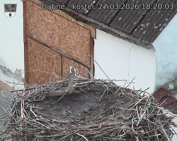 Capi_Dubne_20260327_182003.jpg (1350&nbsp;x&nbsp;1080)